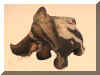 bru_01_racki_ter.jpg (22006 octets)