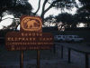 Savute lphant  camp